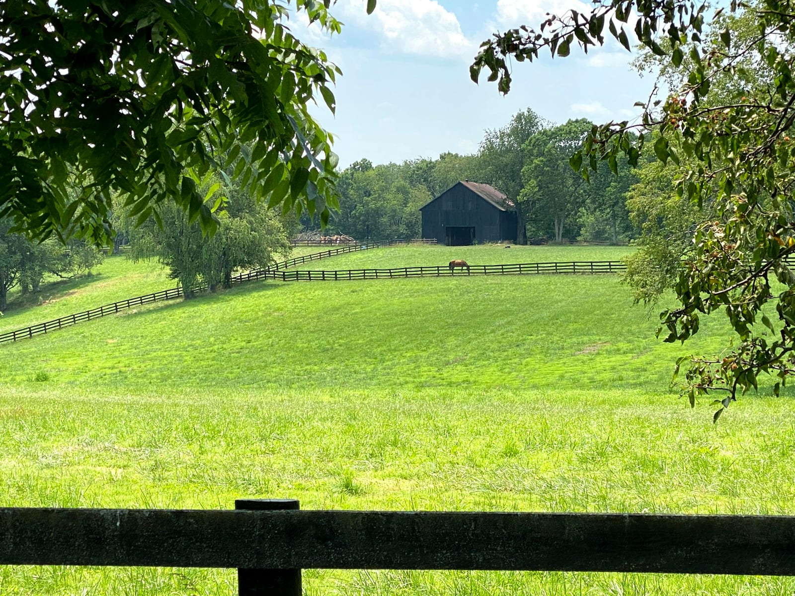 A dark tobacco barn across a lush green pasture framed by summer trees, with a horse grazing near the plank fence.